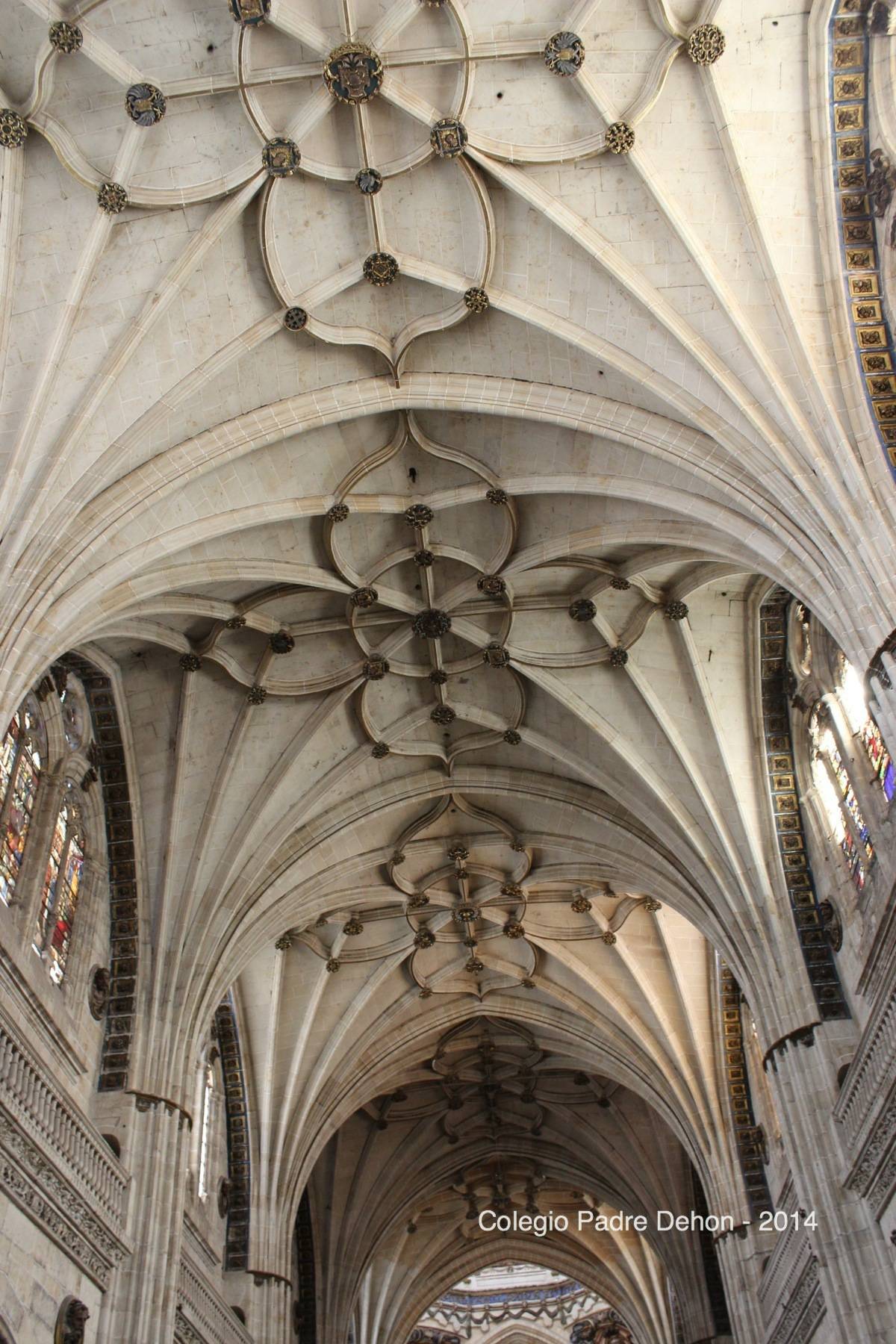 2014 03 22 SALAMANCA IERONIMUS CATEDRAL NUEVA (109)